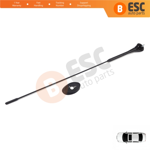 Roof Aerial Antenna Whip Rod Mount Base M5 5 mm for Ford Transit Custom Tourneo Connect Fiesta MK6 B Max EcoSport 9T1T18828AA