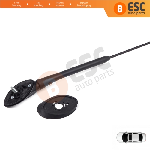 Roof Aerial Antenna Whip Rod Mount Base M5 5 mm for Ford Transit Custom Tourneo Connect Fiesta MK6 B Max EcoSport 9T1T18828AA