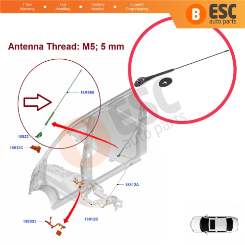 Roof Aerial Antenna Whip Rod Mount Base M5 5 mm for Ford Transit Custom Tourneo Connect Fiesta MK6 B Max EcoSport 9T1T18828AA