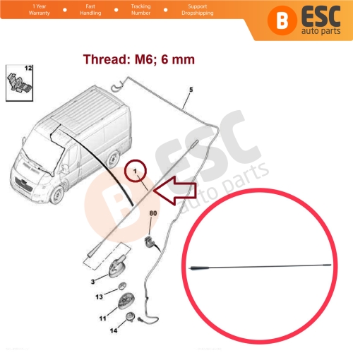 Roof Aerial Mast AM FM Radio Antenna Rod M6 6 mm For Citroen Relay Fiat Seicento Punto Doblo Ducato Bravo Peugeot Boxer 6561.N6