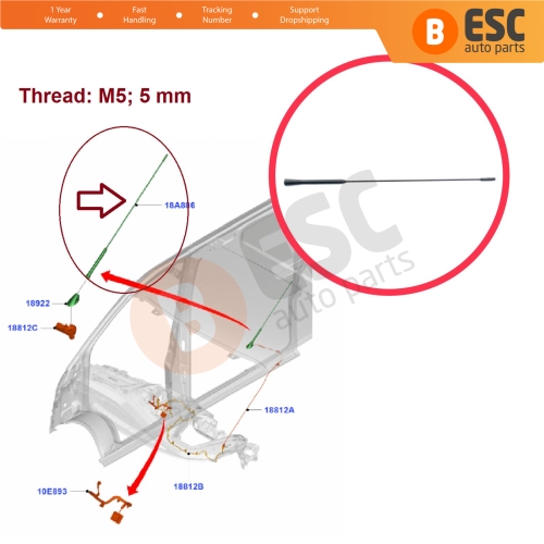 Roof Aerial Mast AM FM Radio Antenna Rod M5 5 mm For Ford Transit Custom Tourneo Connect Fiesta MK6 B-Max Ka+ EcoSport AV1T18A886AA